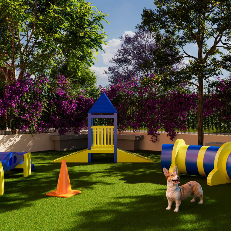 Pet place - Conceito Califórnia